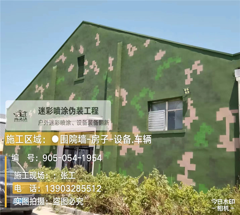 陇南外墙数码迷彩漆施工报价清单(100㎡标准墙面测算)